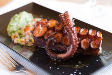 Spanje - octopus