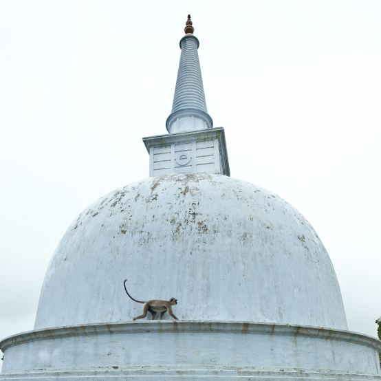 Koningsstad Anuradhapura