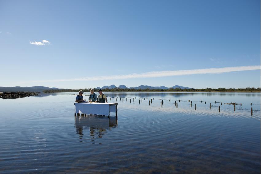 Saffire Freycinet Oyster Tasting