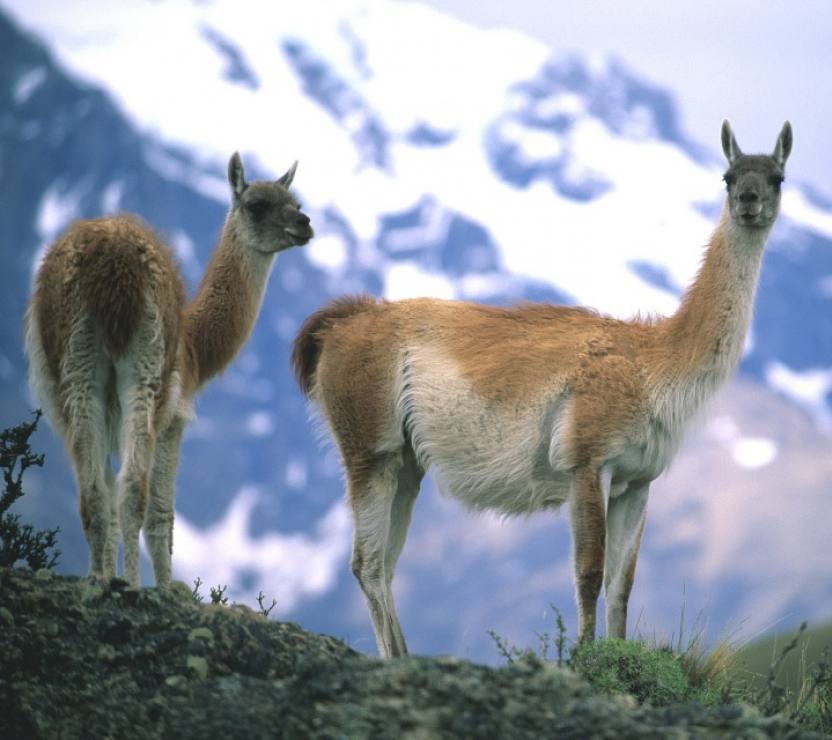 CL Tierra Patagonia