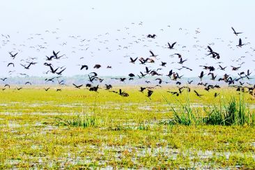 Bamurru Plains