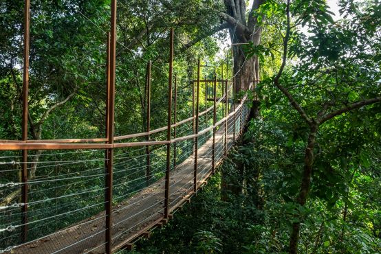 The Datai Canopy Walk