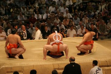 Sumo