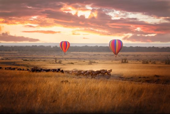 TZ Serengeti