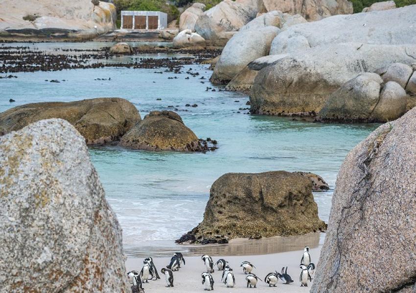 boulders beach