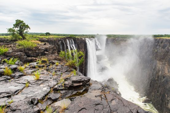 NA Serengeti